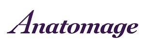 logos_web_3